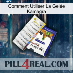 Comment Utiliser La Gelée Kamagra 11
